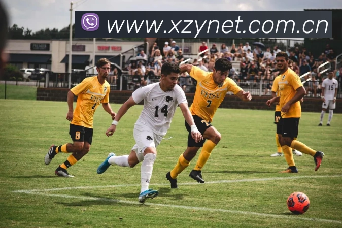 欧宝官方首页官网品牌故事